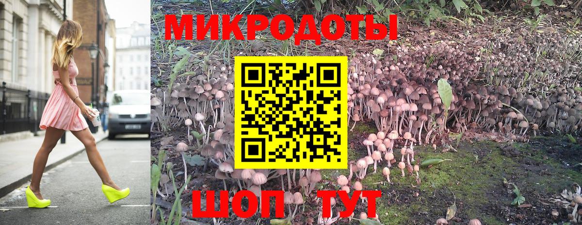 Псилоцибиновые грибы Psilocybe Балашиха