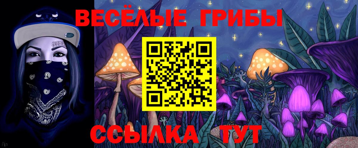 Псилоцибиновые грибы ЛСД  Вход с VPN  Балашиха 